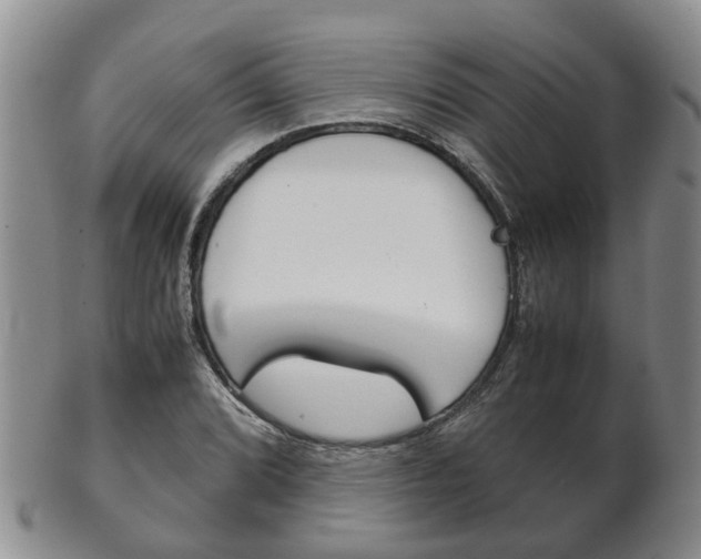 X0000102511072200808081002