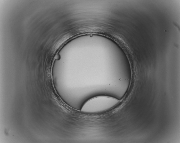 X0000102511073200808081002