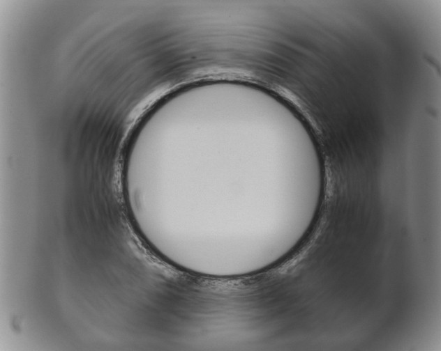 X0000102511074200808081002