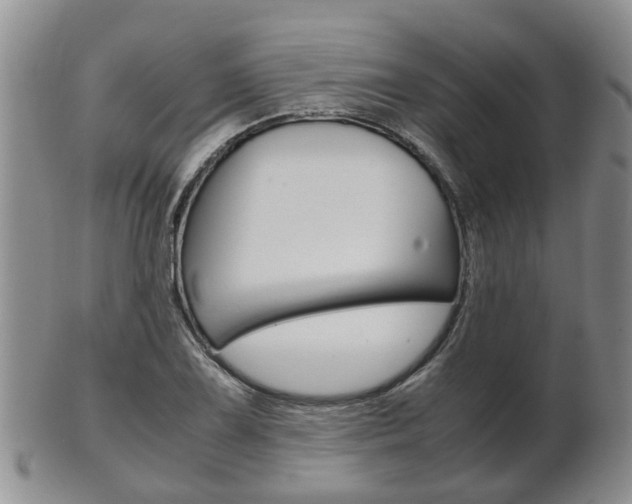 X0000102511075200808081002