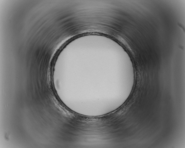 X0000102511076200808081002