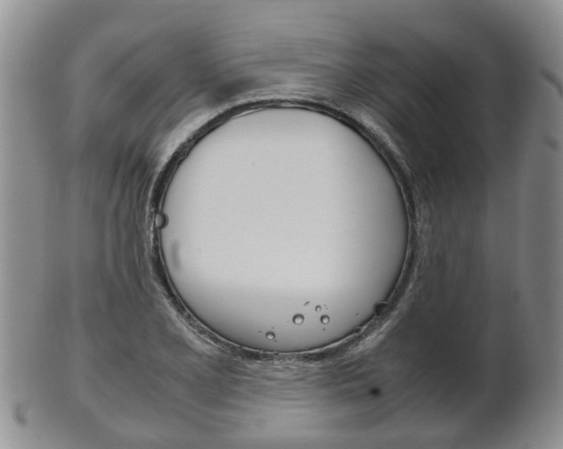 X0000102511077200808081002