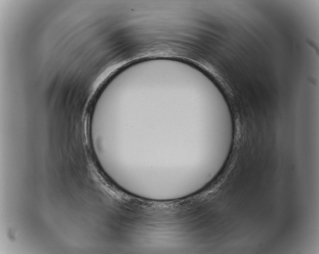X0000102511078200808081002