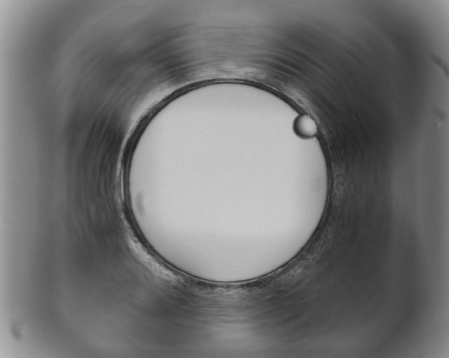 X0000102511080200808081001