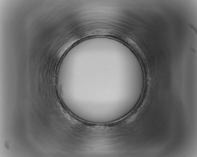 X0000102511081200808081001