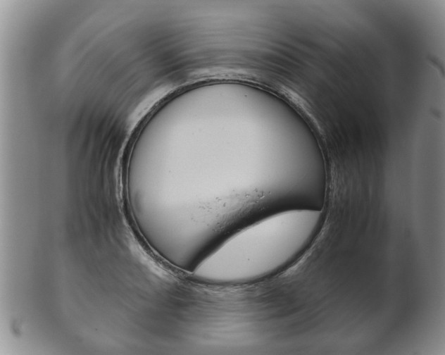 X0000102511082200808081001