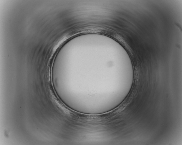X0000102511083200808081001