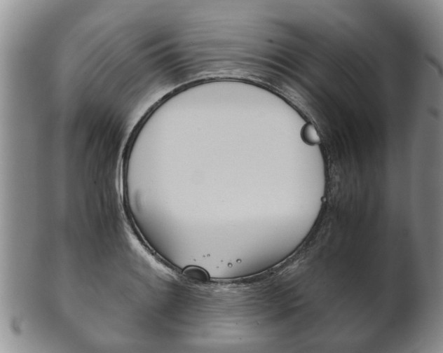 X0000102511084200808081001