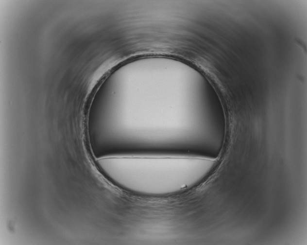 X0000102511085200808081001