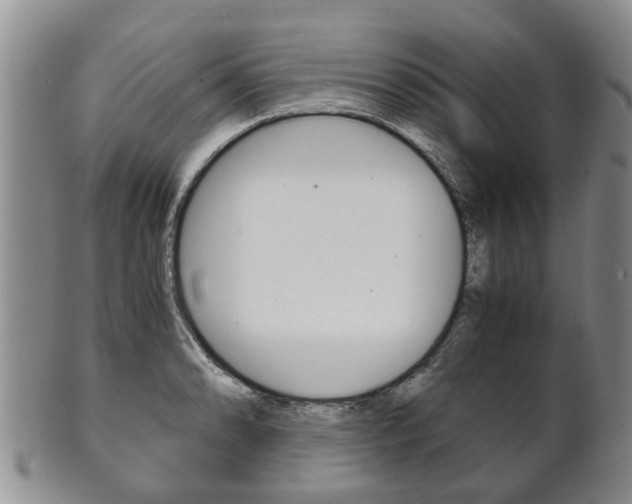 X0000102511086200808081001