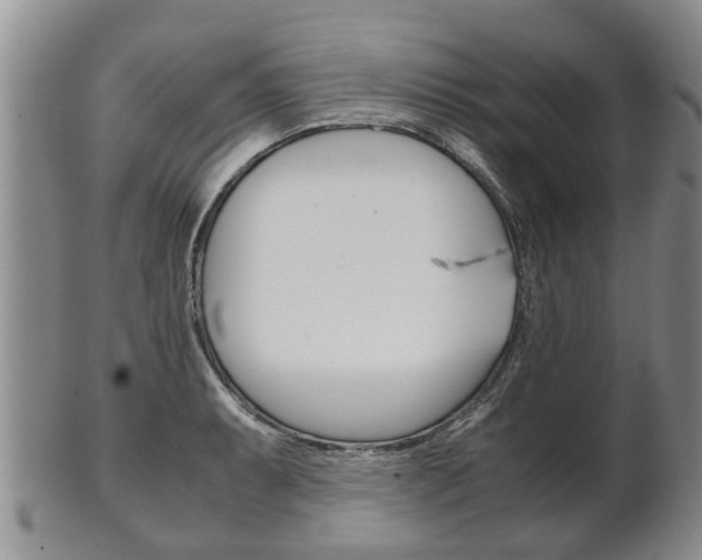 X0000102511087200808081001