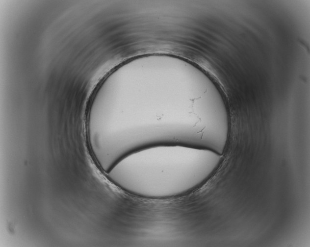 X0000102511088200808081001