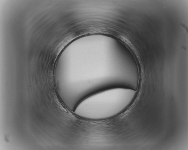 X0000102511089200808081001