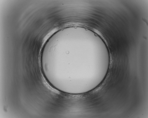 X0000102511090200808081001