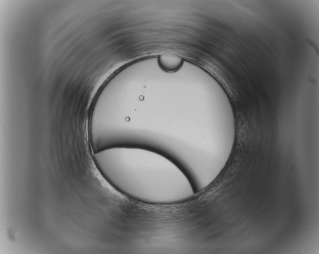 X0000102511092200808081001