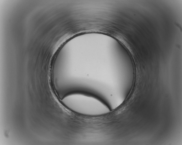 X0000102511093200808081001