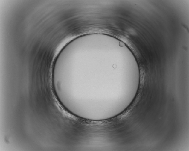 X0000102511094200808081001