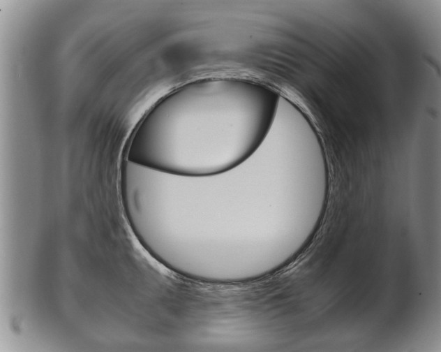 X0000102511095200808081001