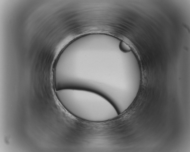 X0000102511096200808081001