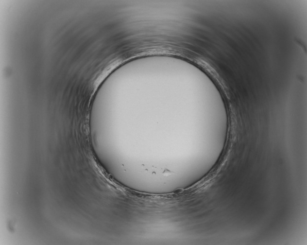 X0000102511097200808081001