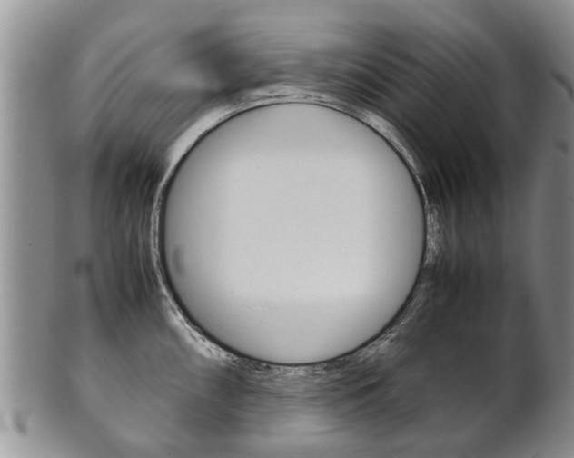 X0000102511098200808081001