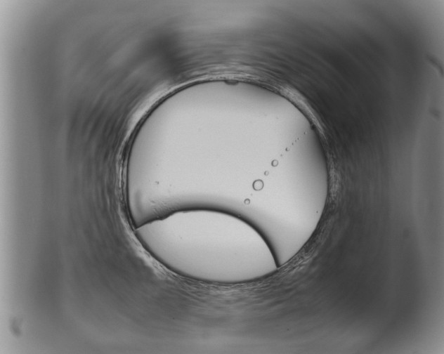 X0000102511099200808081001