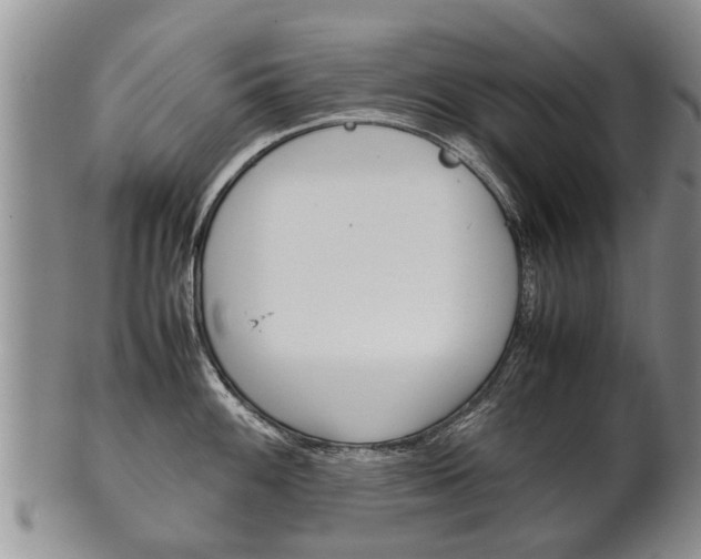 X0000102511100200808081001