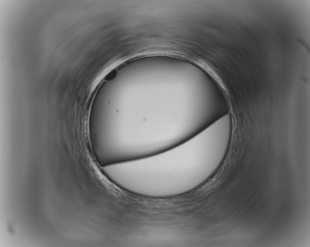 X0000102511101200808081001