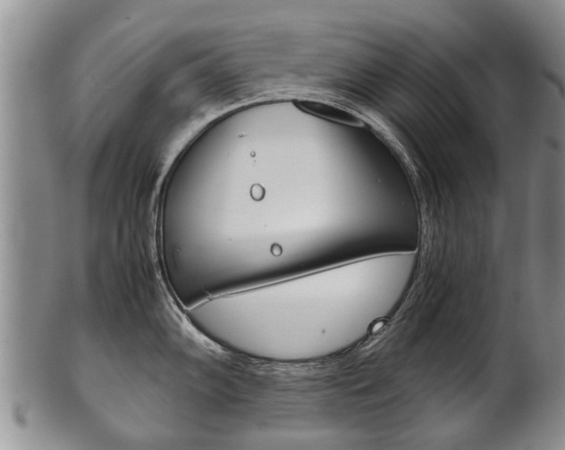 X0000102511102200808081001