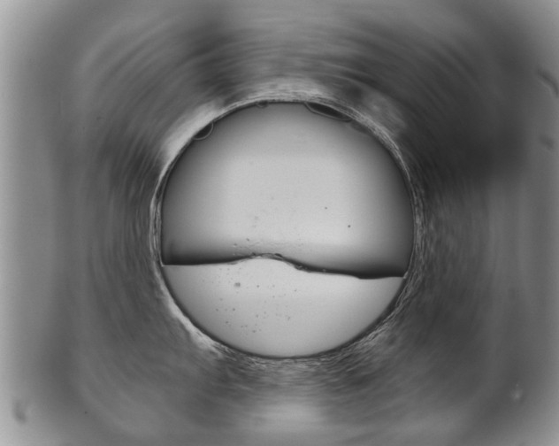 X0000102511103200808081001