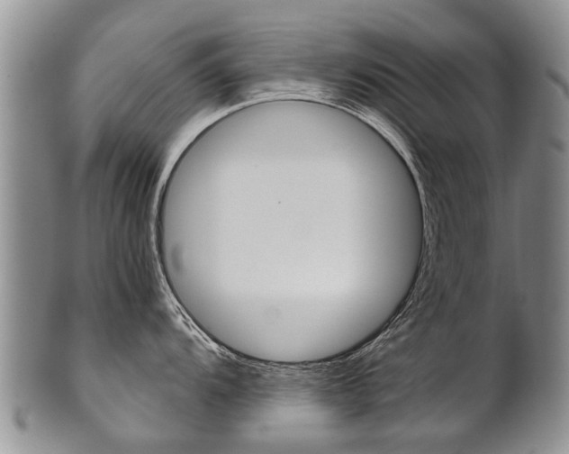 X0000102511104200808081001