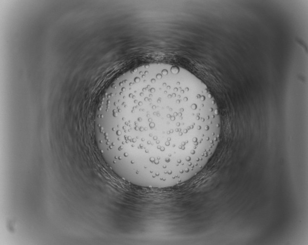 X0000102511105200808081000