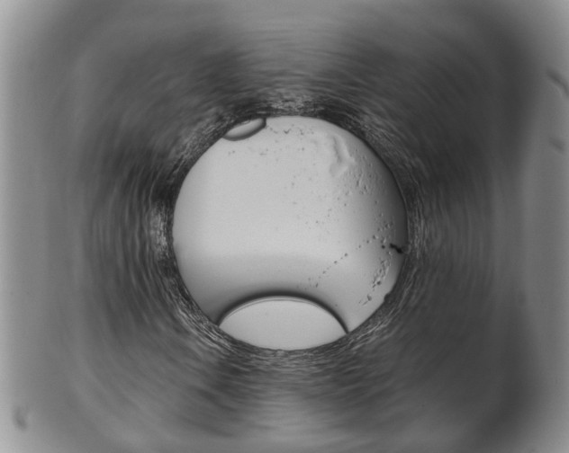 X0000102511106200808081001