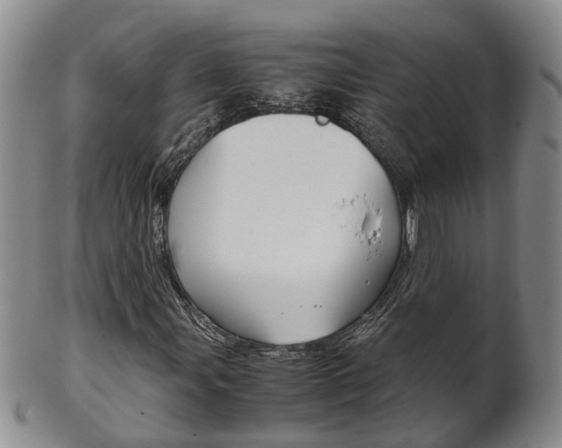 X0000102511107200808081001