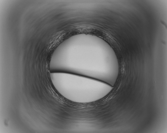 X0000102511108200808081001