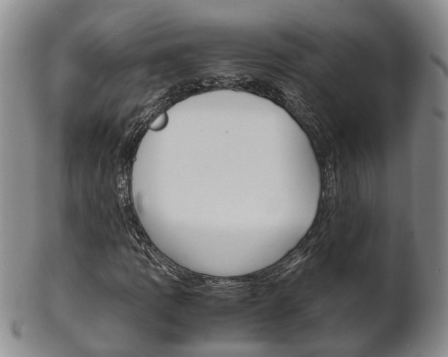 X0000102511109200808081001