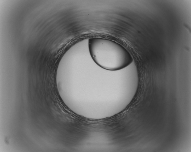 X0000102511110200808081001