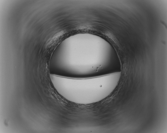 X0000102511111200808081001