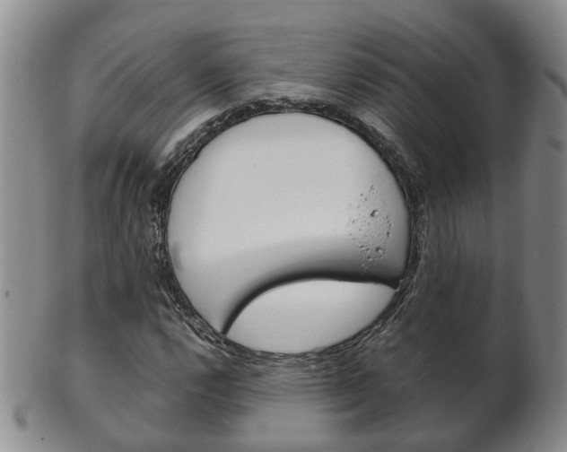 X0000102511112200808081001