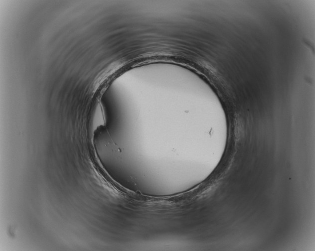 X0000102511113200808081001