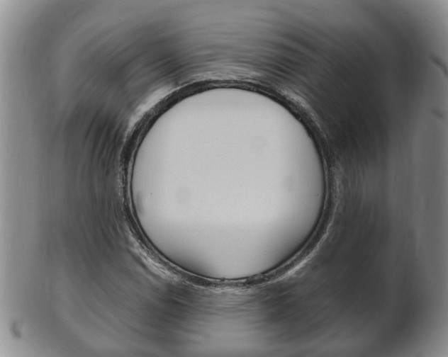 X0000102511114200808081001