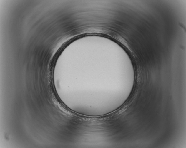 X0000102511116200808081001