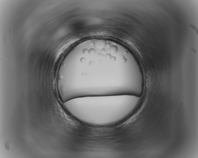 X0000102511117200808081001