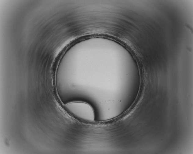 X0000102511118200808081001