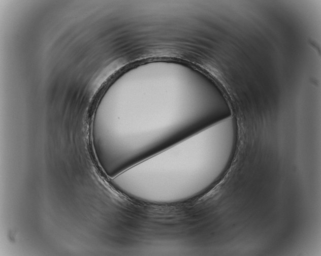 X0000102511119200808081001
