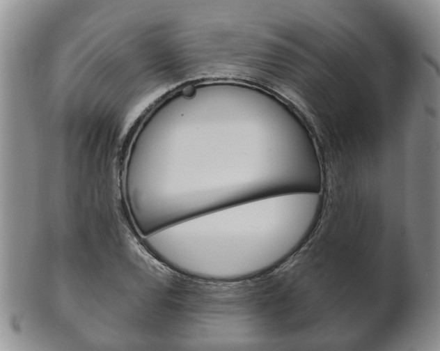 X0000102511120200808081001