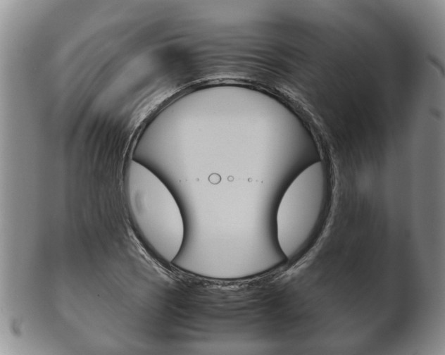 X0000102511121200808081001