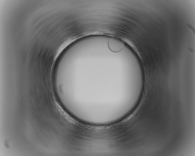 X0000102511122200808081001