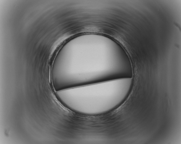 X0000102511123200808081001