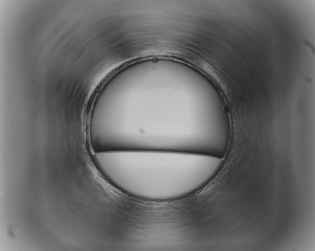 X0000102511124200808081001